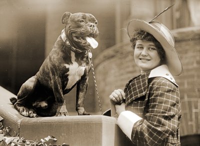 Young Girl and Her Bull Terrier c.1915 by Unknown